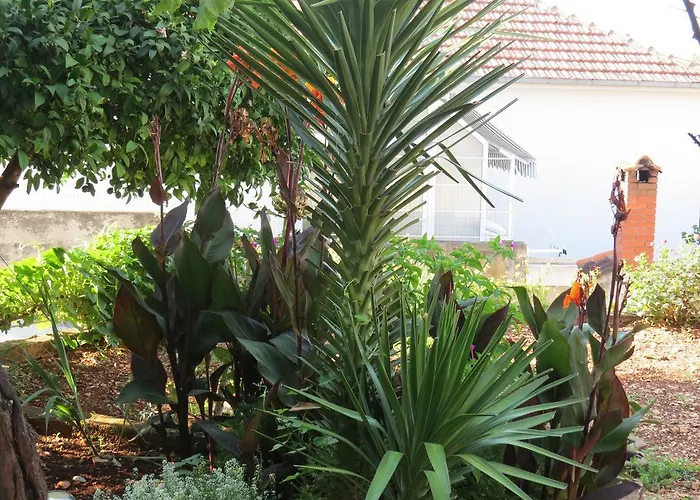 Apartamento Ljube Trogir